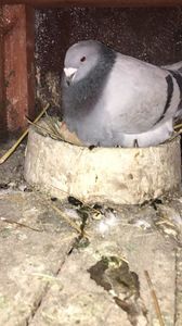 58A0666C-ADB5-45B6-B370-72C3655658D6