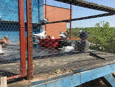 87C179BC-69C2-467A-B919-BAB72F6627CF