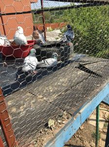 EB2BFDCE-9AE4-415B-8385-4752F547D59F