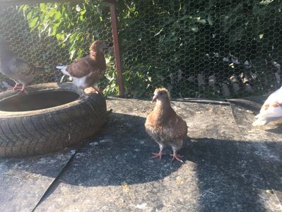 F6FD77ED-5784-4224-AC91-D0A3712081AA