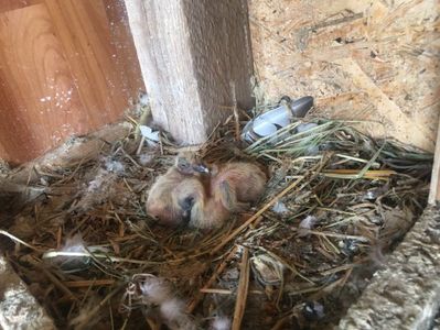 DD370E6E-9EFD-4EF6-AF10-38DD55D052A4