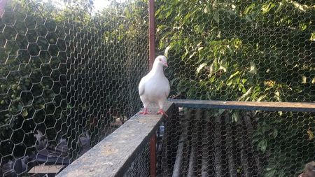 AD2769CE-6B58-4E7C-91C1-4160A61387AC