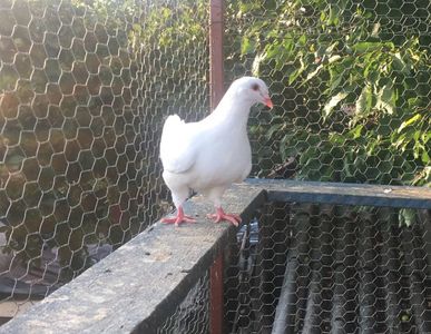 03C7A1E5-9E81-43C2-A9BA-2A2F4A070C9A