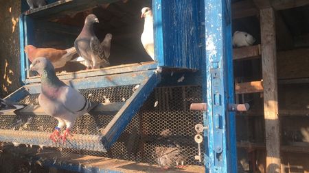 630DEF80-922A-40CF-AE8E-E8225D4884A6