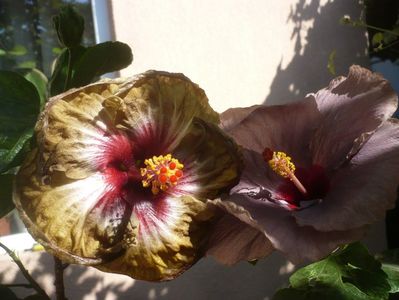 P1420803