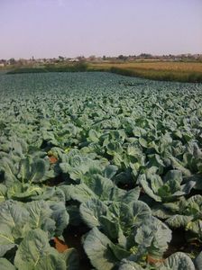 Photo0068
