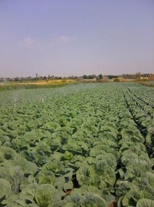 Photo0069