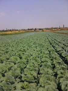 Photo0070