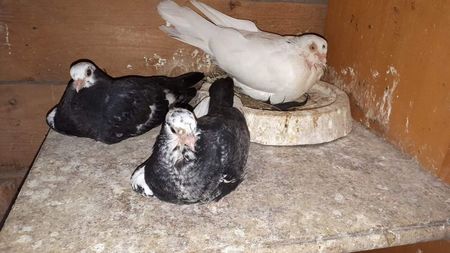 received_2087441508027106