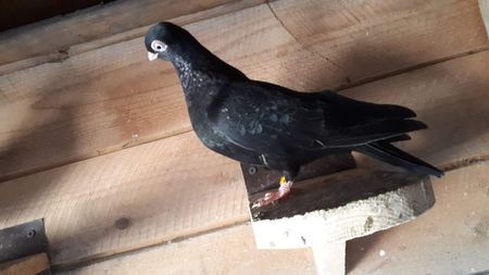 received_473015059913738