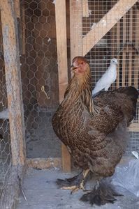 received_448124612582660