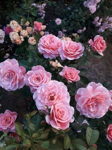 20190612_180244(0)