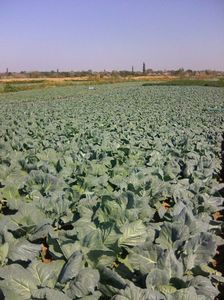 Photo0073