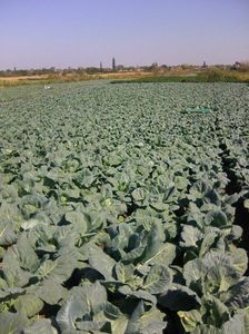 Photo0074