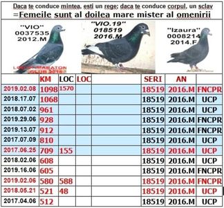 2016.18519=2019.an VVIO 19+