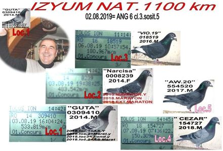 Z.2019 IZYUM