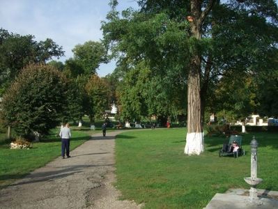rock club borsa maramures transilvania