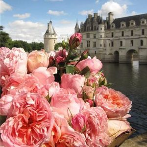 dames-de-chenonceau-6_2048x