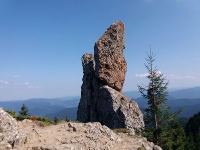 Cuşma Dorobanțului