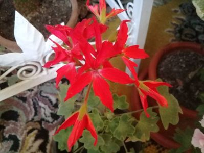 20190924_182622(0)