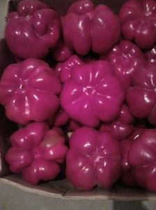 Photo0083