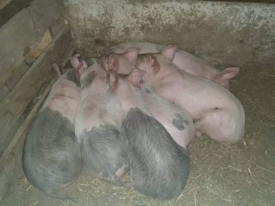 received_2375636702532190