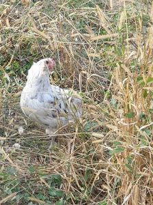 received_785694135178203