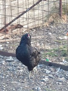 received_2368172153394783