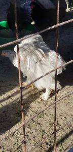 received_379689986313453