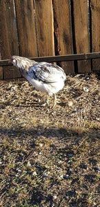 received_2171389169831500