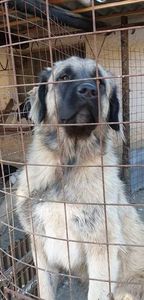 received_1342813415885730