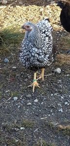 received_2494057280830224