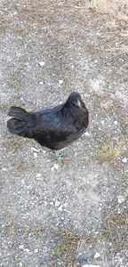 received_2371457289763426