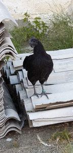 received_2350929294961714