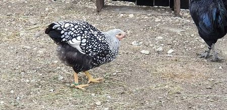 received_480125496161684