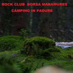 borsa maramures camping in padure