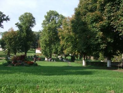 ROCK CLUB BORSA MARAMURES
