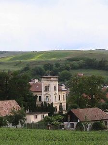 ROCK CLUB BORSA MARAMURES