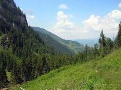 ROCK CLUB BORSA MARAMURES