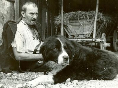 Atunci I-am Condamnat Pe Toti La Moarte