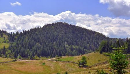 Cheile Grădiștei