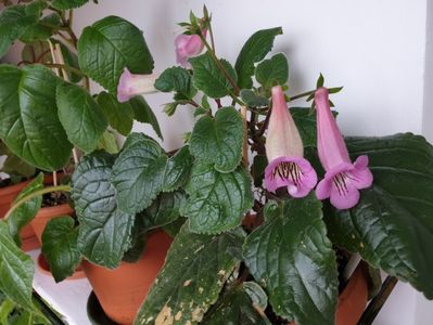 20191006_102816(0)
