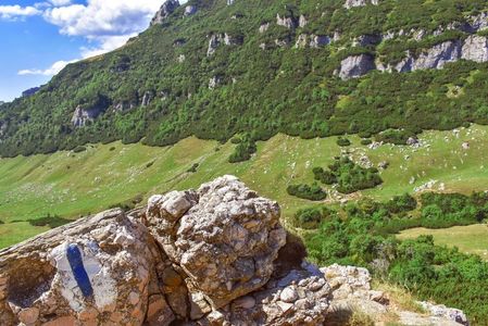 Marcaj traseu spre Vf Omu