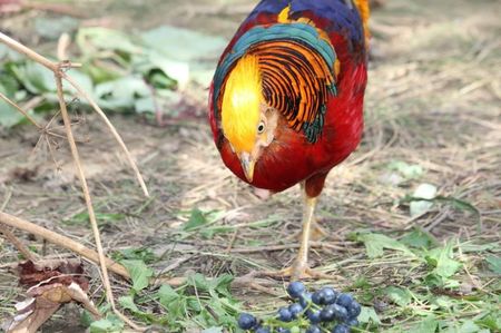 received_2378868282221082