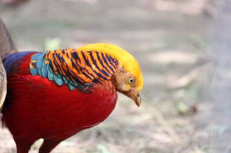 received_943436706011524