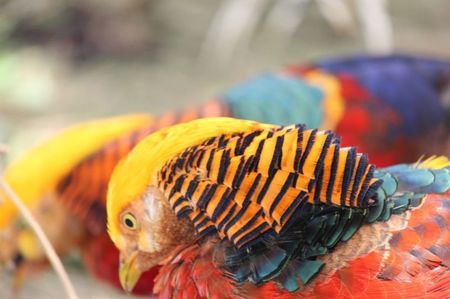 received_699048220522975