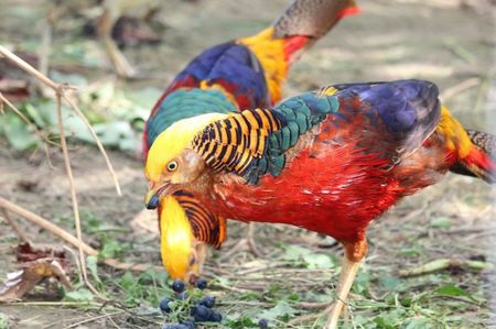 received_720135698410984