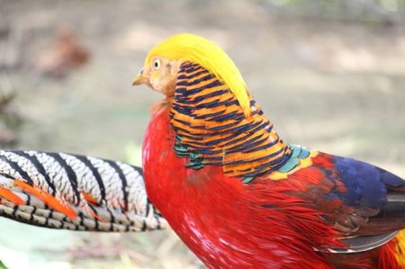 received_695464357605972