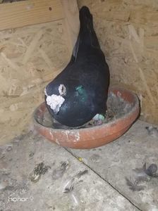 received_2329010144017152