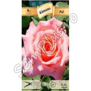 trandafir-kimono-roz